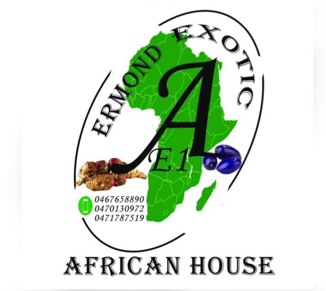 AFRICAN HOUSE